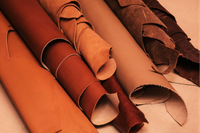 //ijrorwxhqnnjlj5p.ldycdn.com/cloud/ljBpiKqlloSRilmqqninjp/Leather-auxiliaries.png