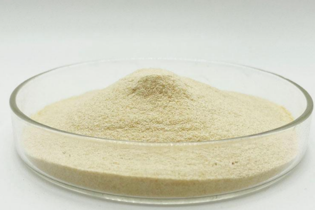 The Role of Enzymes in The Textile Industry