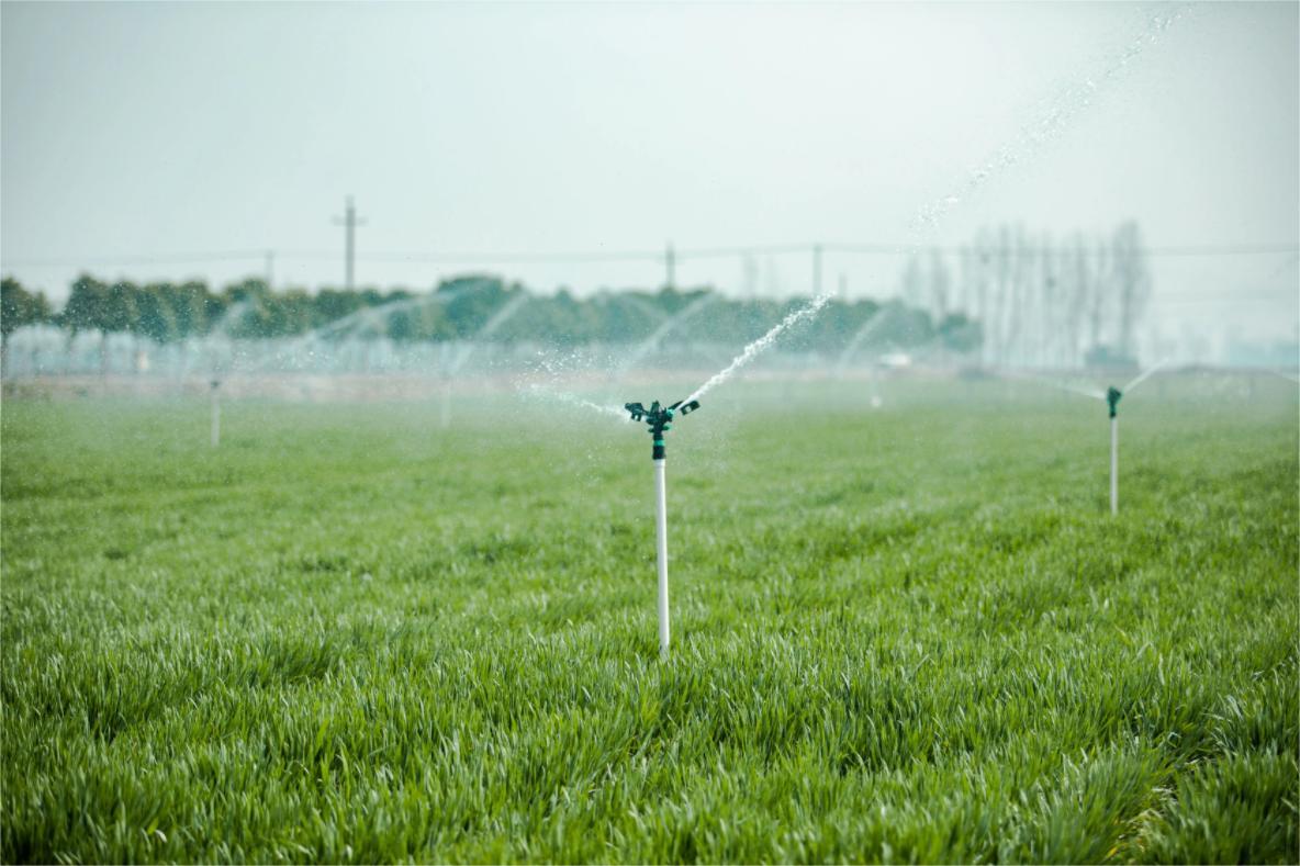 agricultural auxiliary